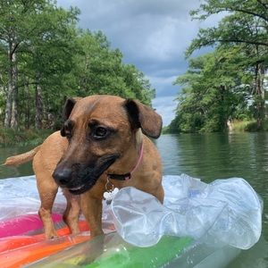 Meet your Posher, Leah